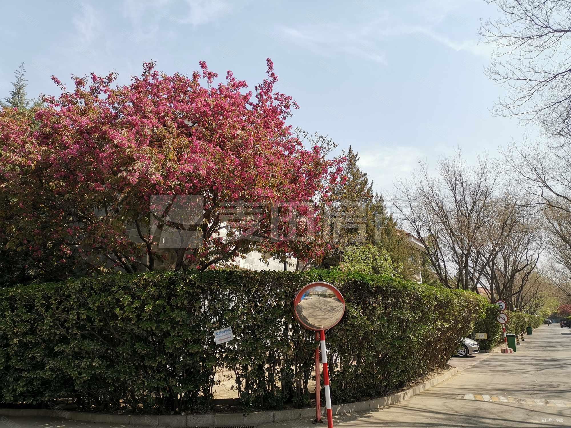 京润水上花园别墅