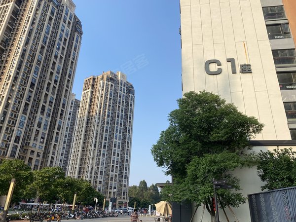 万科尚城电梯小区 南向有阳台 中间楼层采光好 户型方正,黄埔租房