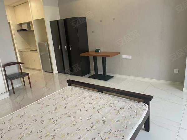 海宁海宁市区海洲城仕公寓皮革城地铁口 皮都公馆 精装1室 家电齐全 看房随时出租房源真实图片