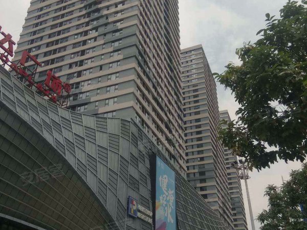 佛山南海金融高新区新凯广场(好房抢租)新凯全新豪华复式 业主人爽直