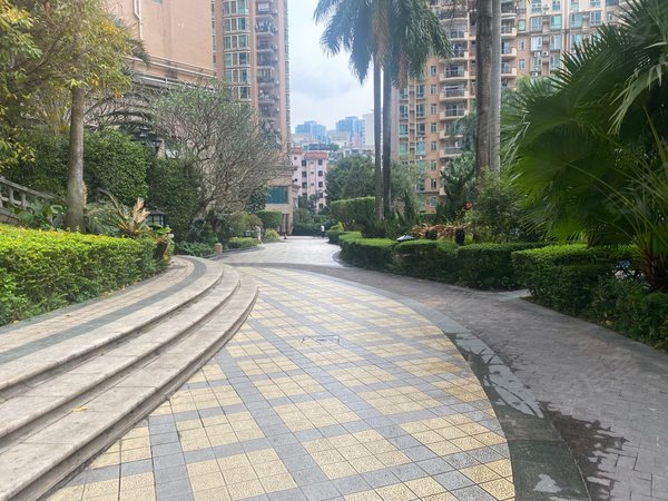 【多图】鸿瑞花园,南山中心区租房,鸿瑞花园小区,三房二厅一卫出租