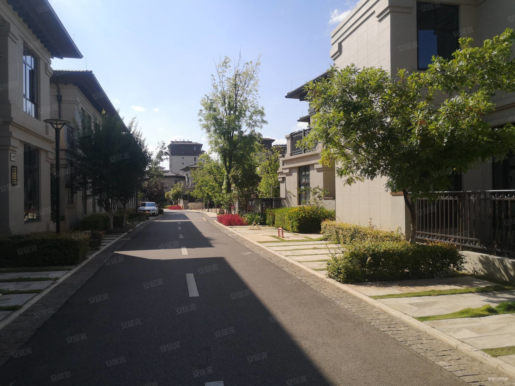 滇中植物园臻园(别墅)4室2厅3卫198㎡南北230万