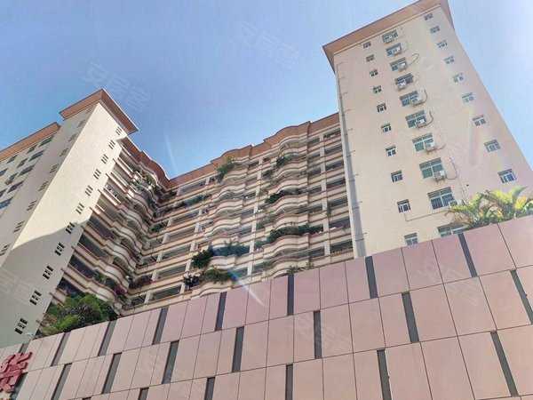 深圳龙岗坂田南坑村统建楼10号线南坑地铁站 精装2室1厅1卫 电梯房