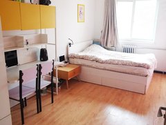 北京东城东直门地铁2号线东直胡家园新源西里 中街朝南大主卧电梯房出租房源真实图片