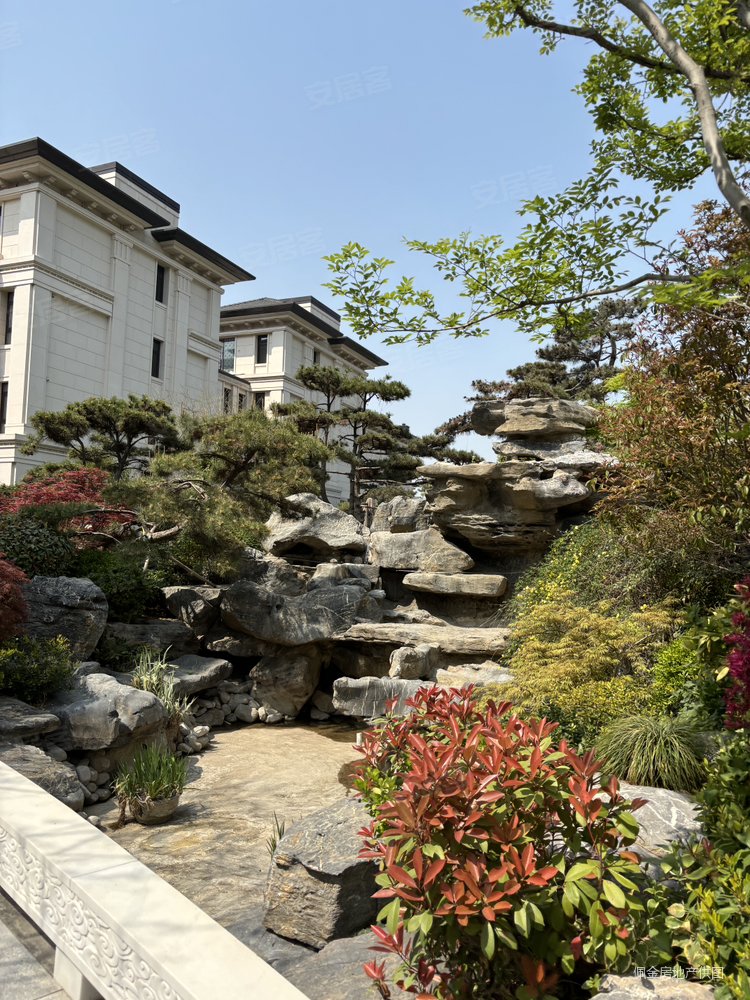 海马青风院子5室3厅4卫290㎡南北2150万