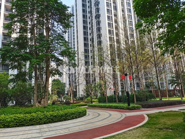 佛山三水西南汇信华府汇信华府 1室0厅1卫 电梯房 精装修出租房源真实