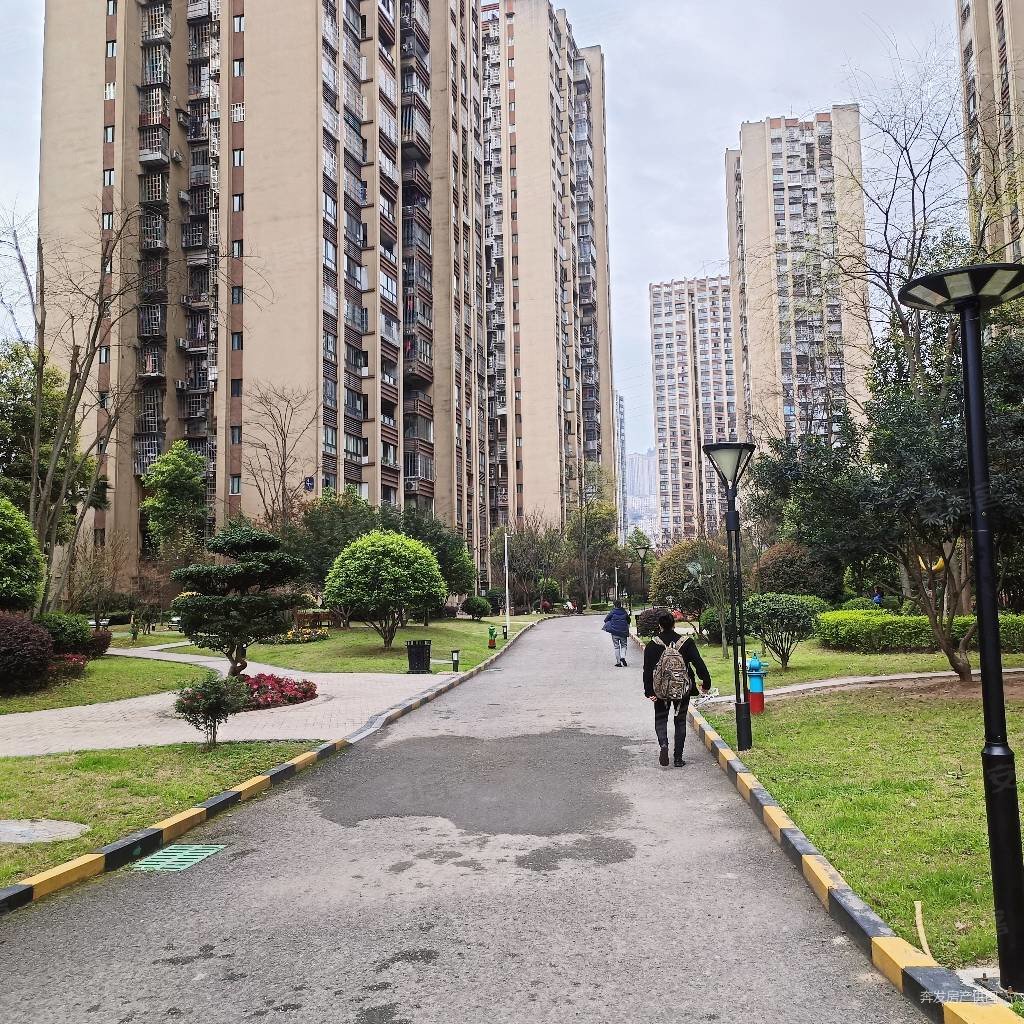 万州金科观澜d区3室2厅2卫120㎡南北68.8万