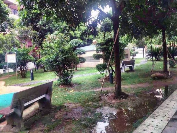 【多图】固戍花园,固戍租房,固戍地铁 精装修一房一厅押一付一民水电