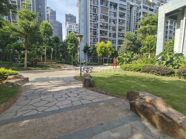 南宁兴宁东沟岭金源橘子郡两房出租 户型方正 采光好  交通便利 三号