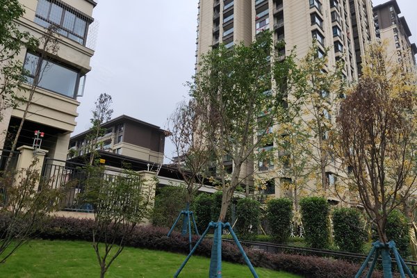 重庆小区 铜梁小区 铜梁小区 金科集美东方 金科集美东方怎么样