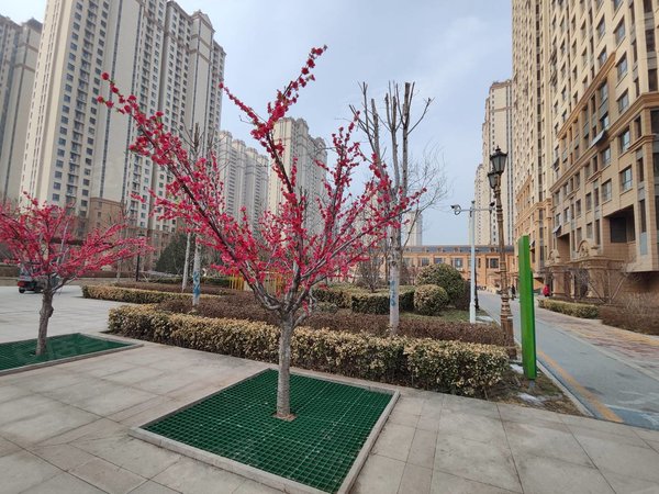 保定竞秀西鲁岗华中假日丽城(a区)无中节可月付,紧邻电谷深圳湾尊瀚