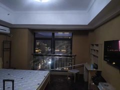 万达公寓(惠山) 1室1厅1卫  电梯房 精装修41平米
