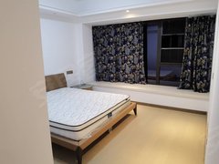 嘉兴海宁许村镇万科下叠墅地面2层地下 电梯房 精装修 家具家电齐全拎包入住出租房源真实图片