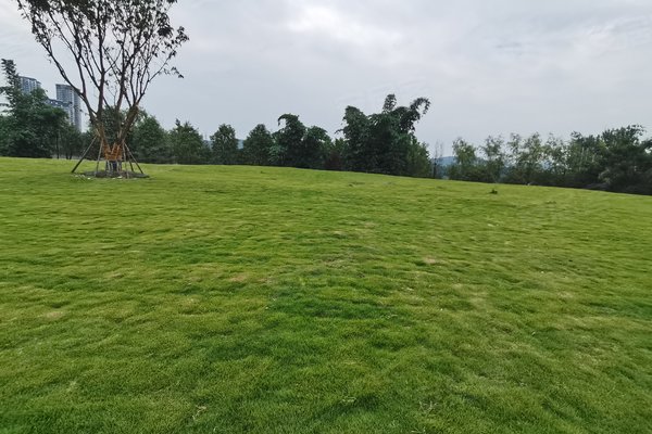 成都小区 新津小区 花舞人间小区 花屿岛