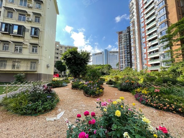 深圳南山蛇口翠竹园翠竹园 4房 南北通透 新出房源 空房出租 可稳定长