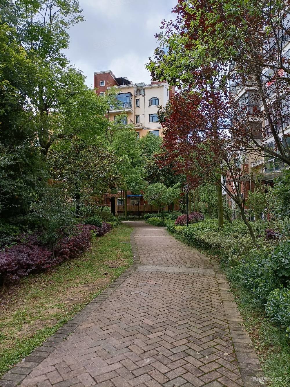 米兰春天一期电梯洋房满五超大四房南北通透