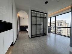 苏州吴中郭巷微软 爱琴海 同城旅游 纳米园旁 地铁单身时尚公寓全景落地窗出租房源真实图片