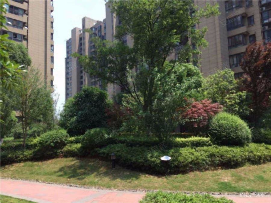 新上店长力推急售 双地铁 金中金小 保利罗兰香谷