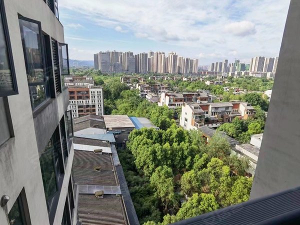 重庆沙坪坝大学城龙湖睿城(c区)可短租可月付 龙湖睿城精装一室一厅