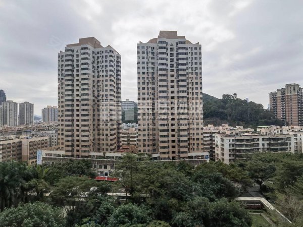 深圳罗湖东湖翠苑大厦翠苑大厦高楼层南向看翠竹山景3房免费配合上学