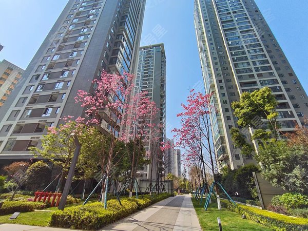 昆明官渡吴井路华润悦府急租 恒隆广场 华润万象城 地铁口旁 华润悦府