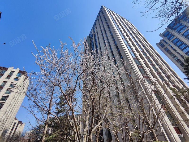 龙湖唐宁one2室1厅1卫84㎡东北795万