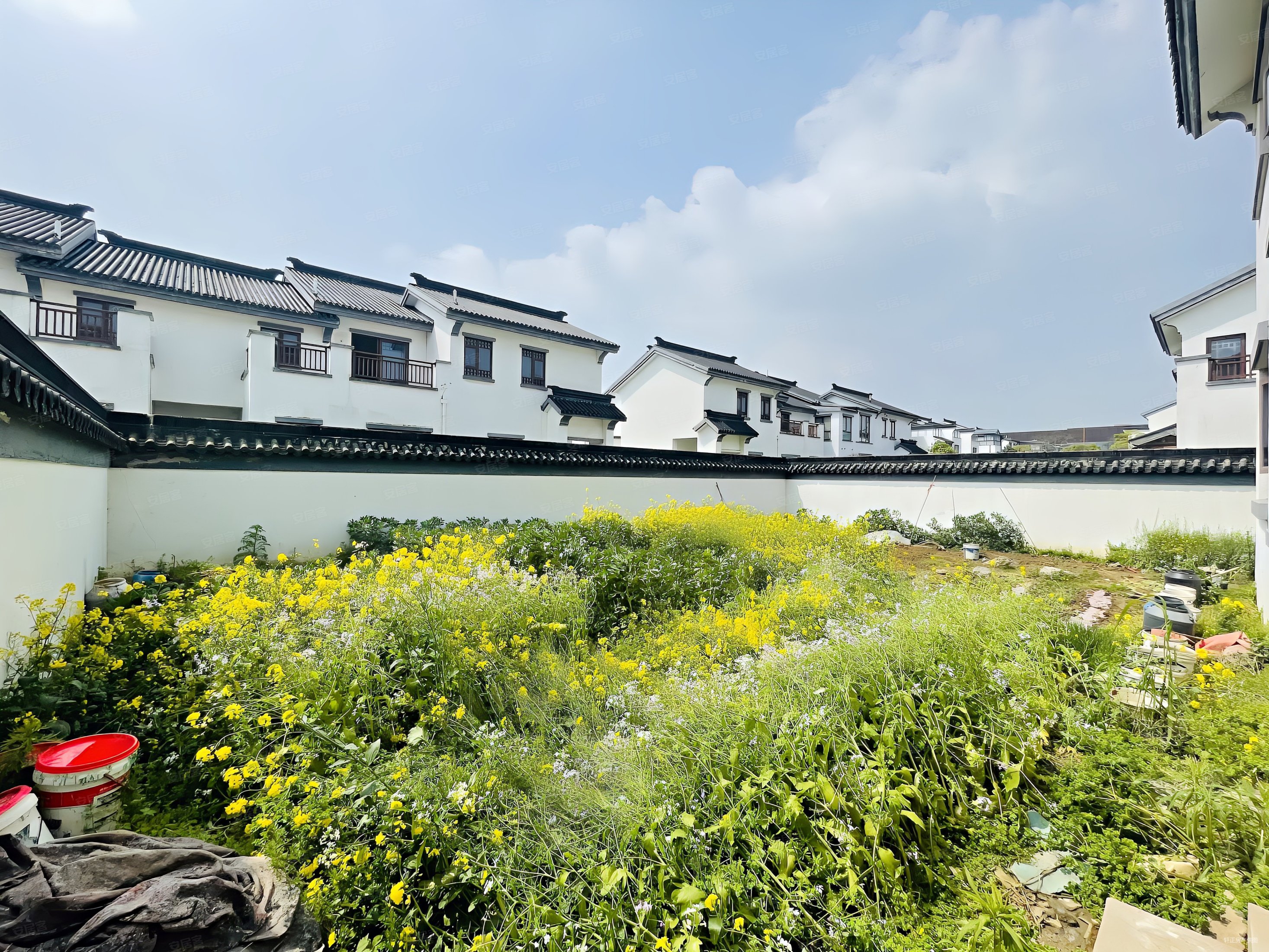 随时看房苏园售大双拼600平超大南花园纯毛坯急售