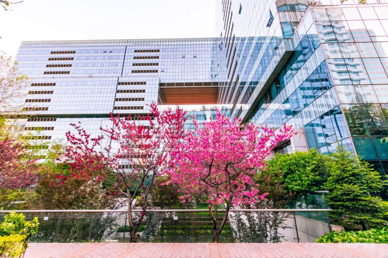 区经力荐 三里屯好房 瑞安君汇 小区性比价2居 随时看