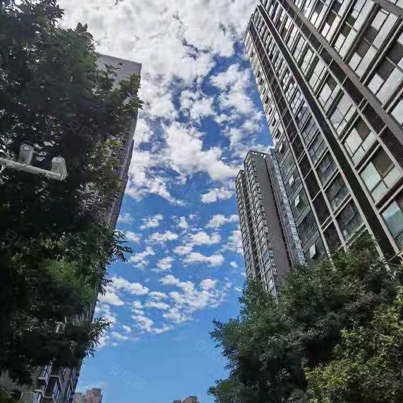 高新丹枫国际小区详情,房价走势,房源,业主论坛】- 西安58同城