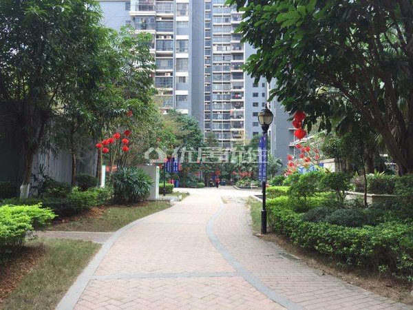 昌泰水立方 精装 整租 54平 押二付三 电梯房 随时看房,邕宁租房-南宁