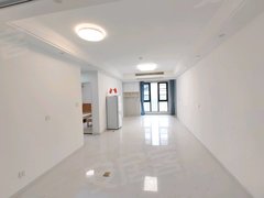 武汉青山工业大道实图实价好商量 奥园滨江国际 和平公园 华侨城 八大家花园出租房源真实图片