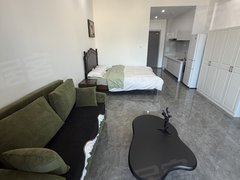 临沧临翔凤翔月牙地 51平 1200月  全新家具家电 是小出租房源真实图片