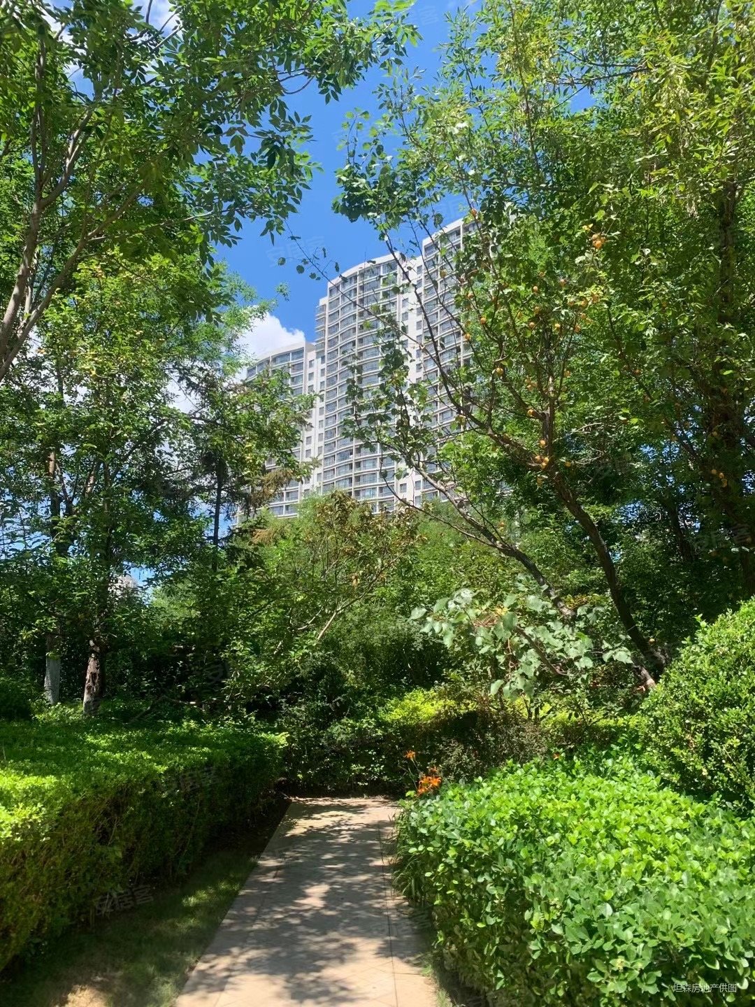 金梦海湾一号海景房精装 拎包入住 满五