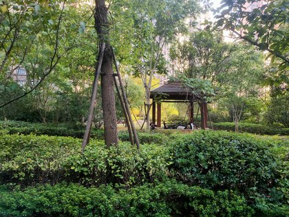 万安三峰中央城