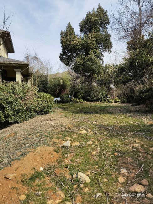 老山脚下山河水花园独栋别墅430平690万花园占地500多