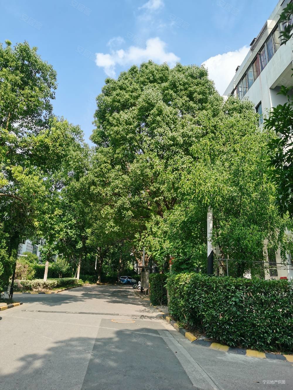 将军大道s1翠屏湾花园豪华装修中央空调地暖拎包入住