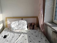 七台河桃山桃山公园北岸新城6楼，北岸小学附近，一室一厅，拎包入住出租房源真实图片