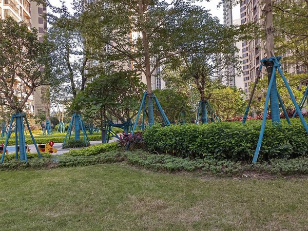 肇庆鼎湖肇庆新区肇庆宝能城宣卿中学旁 宝能城 高层南向3房 温馨舒适 仅1200元出租房源真实图片