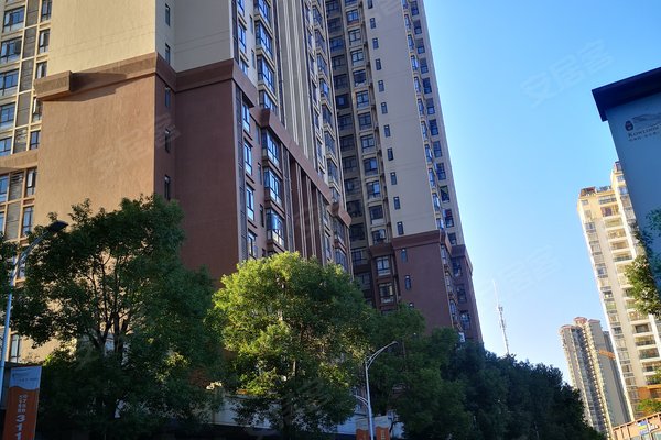 肇庆小区 四会小区 东城小区 绿茵九龙湾 绿茵九龙湾怎么样