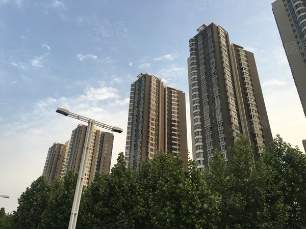 郑州金水国基路森林阳光花园维也纳森林 2室2厅 双气朝南带电梯 拎包