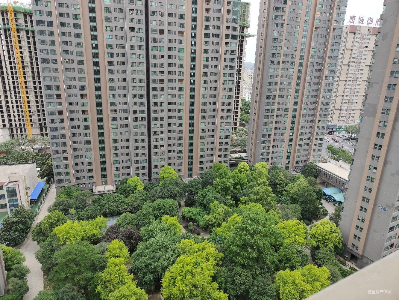 新区正大旁泉舜锦泉苑新上毛坯大四房楼层有车位随时看