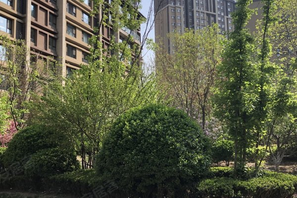 北京二手房 御墅 > 肖枫解读御墅小区不足发布于2021年11月18日 0人