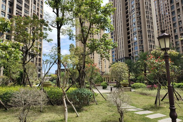 宁德小区 霞浦小区 龙首路小区 中茵蔚蓝国际