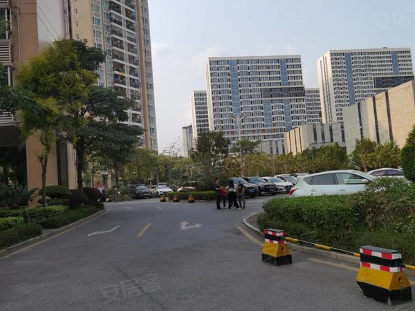 广州增城新塘顺欣花园顺欣花园大三房,已收钥匙随时看房出租房源真实