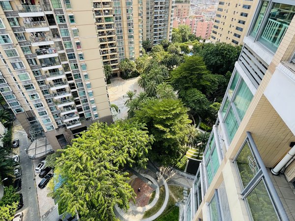 深圳福田新洲绿景花园(二期)绿景新美域.高层东南向.精装全齐.