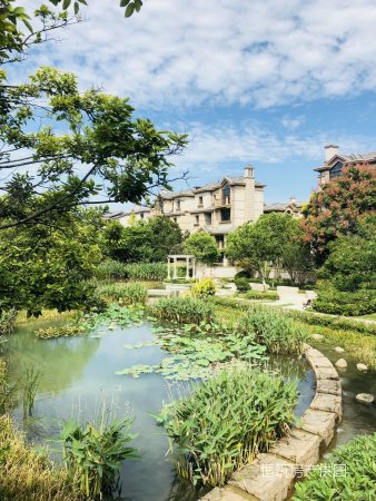 全新独栋别墅!龙池山庄 法式梧桐墅超大花园 低调生活奢华享受