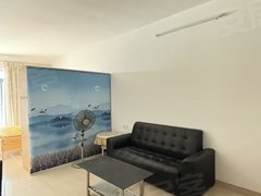韶关浈江东河莱斯豪苑电梯高层一房一厅拎包入住仅需1200元出租房源真实图片