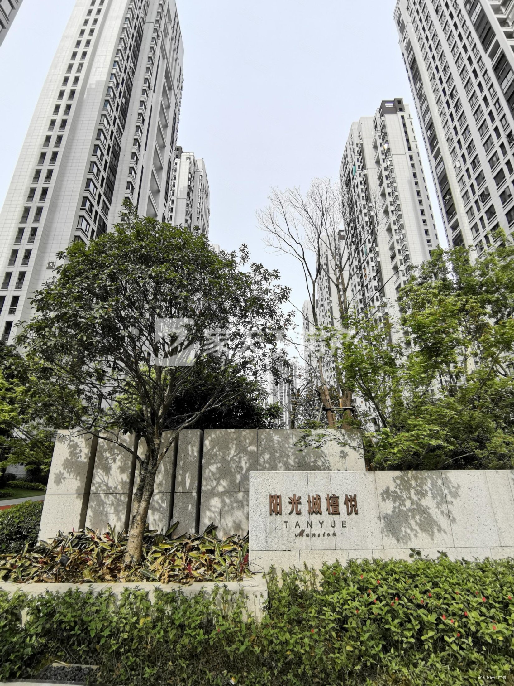 即售房源东二环阳光城檀悦南北通透精装修3房儿童医院