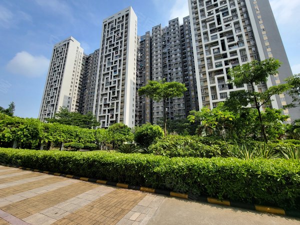 【多图】广氮花园,棠下租房,广氮花园 高层电梯2房 采光好 南北通透 