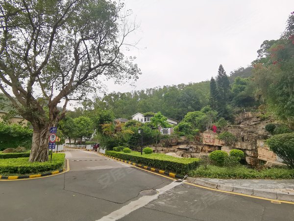 深圳罗湖莲塘仙湖山庄(一期)别墅区南北通豪装两房户型,真的很奢华